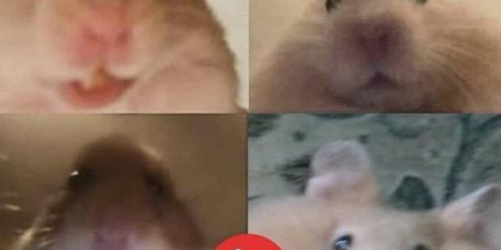 Imagem do grupo de WhatsApp Frieds 😎🤙🏻
