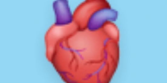 Imagem do grupo de WhatsApp GRUPO DE APOIO 🫀