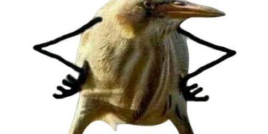 Imagem do grupo de WhatsApp Amizade