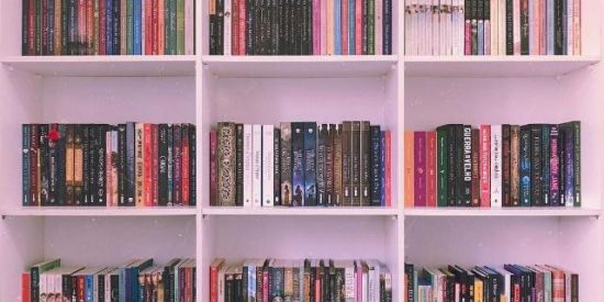 Imagem do grupo de WhatsApp Unidos Pela leitura