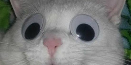 Imagem do grupo de WhatsApp ❦︎𝗪𝗘𝗕 𝗡𝗔𝗠𝗢𝗥𝗢❦︎