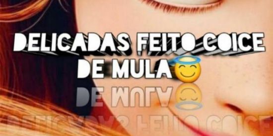 Imagem do grupo de WhatsApp 🔥B̫̫R̫̫U̫̫̫̫ͦT̫̫̫̫ᷫA̫̫̫̫ͨS̫̫ ofc