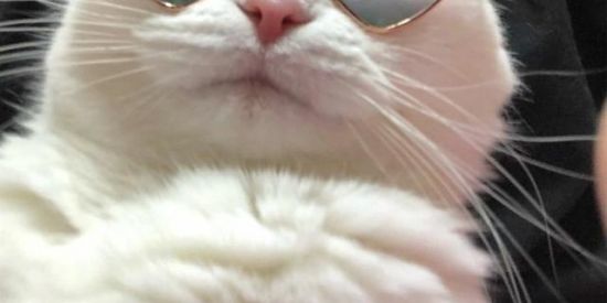 Imagem do grupo de WhatsApp Ajuda pra toda hora ❤‍🩹