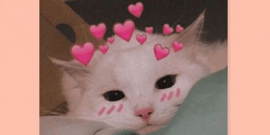 Imagem do grupo de WhatsApp novas amizades 💕