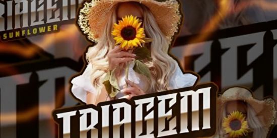 Imagem do grupo de WhatsApp 🌻◽TRIAGEM SUNFLOWER◽🌻