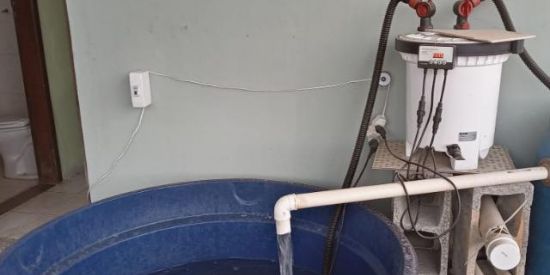 Imagem do grupo de WhatsApp Aquaponia Batatinha!