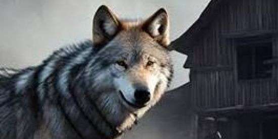 Imagem do grupo de WhatsApp ▄︻デˡᵃˢᵗ ᵈᵃʸ ˢᵗᵃⁿᵈⁱⁿᵍ☠══━一 (Recrutamento)🔥