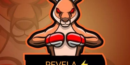 Imagem do grupo de WhatsApp REVELA  ⚡