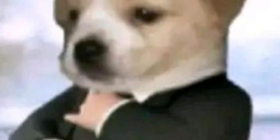 Imagem do grupo de WhatsApp amigos para sempre 🌈😍😘🥹🥳