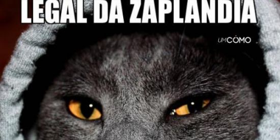 Imagem do grupo de WhatsApp Brigas, farpadas e namoros😏