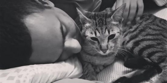 Imagem do grupo de WhatsApp Vakinha online