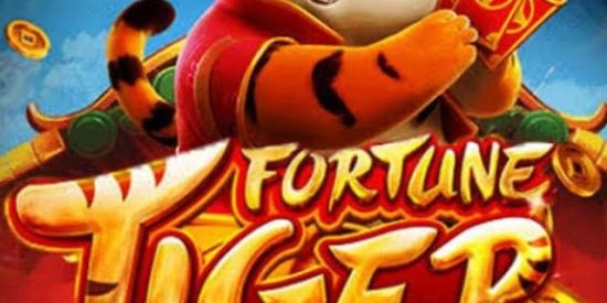 Imagem do grupo de WhatsApp 💸FORTUNE TIGER🎰