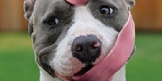 Imagem do grupo de WhatsApp ❤🌶Sex Appeal🌶❤