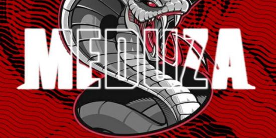 Imagem do grupo de WhatsApp CAMP MEDUZA#1