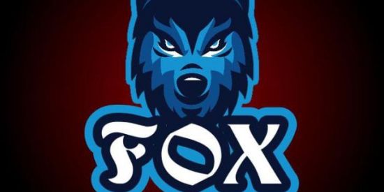 Imagem do grupo de WhatsApp FOX-SPORT