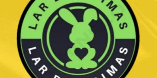 Imagem do grupo de WhatsApp 💎 LAR DOS DIMAS 💎