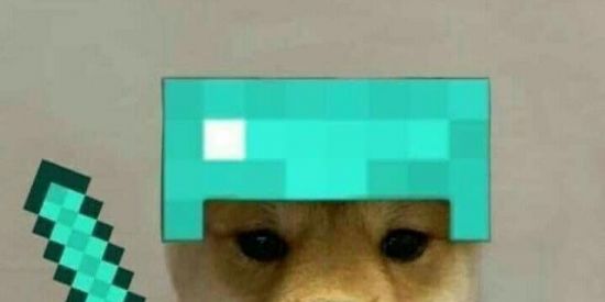 Imagem do grupo de WhatsApp a m i z a d e s