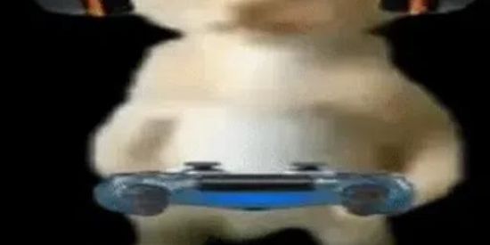 Imagem do grupo de WhatsApp chat da Empty.