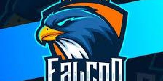 Imagem do grupo de WhatsApp FC SPORT👑