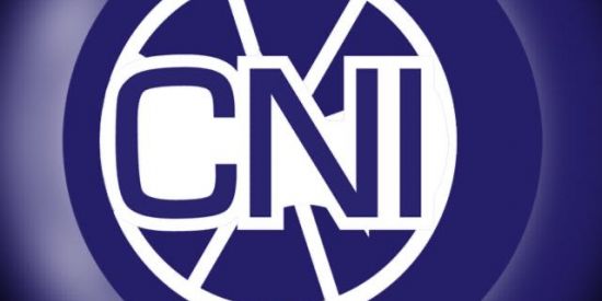 Imagem do grupo de WhatsApp CNI-Tags