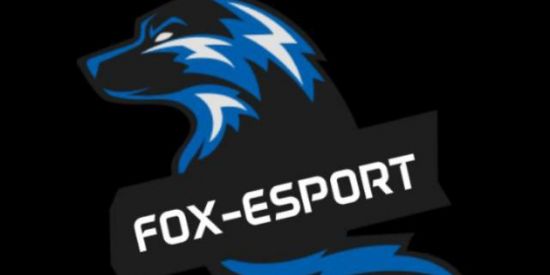 Imagem do grupo de WhatsApp RECRUTAMENTO FOX E-SPORTS