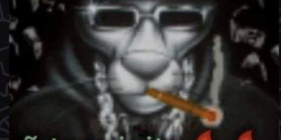 Imagem do grupo de WhatsApp Revolução do Luke