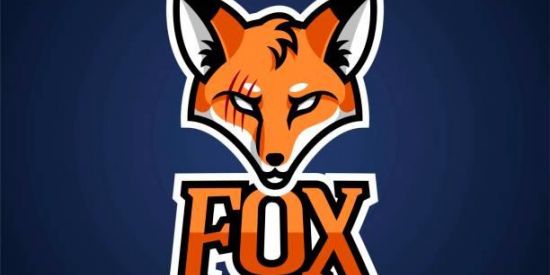 Imagem do grupo de WhatsApp FOX' elementary