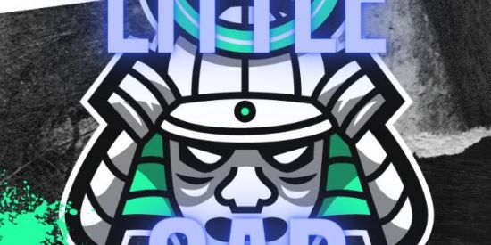 Imagem do grupo de WhatsApp DIÁRIO LITTLE CAMP #001💰