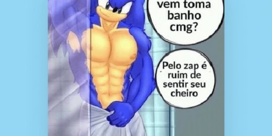 Imagem do grupo de WhatsApp Grupo do Sonic de Toalha Temp. 2