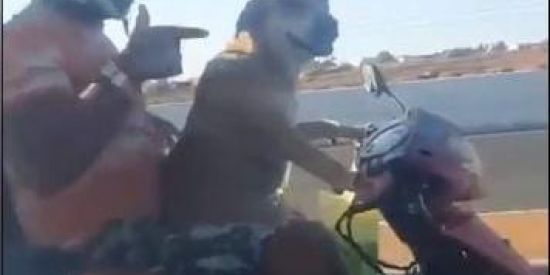 Imagem do grupo de WhatsApp Novas amizades 🚬😲