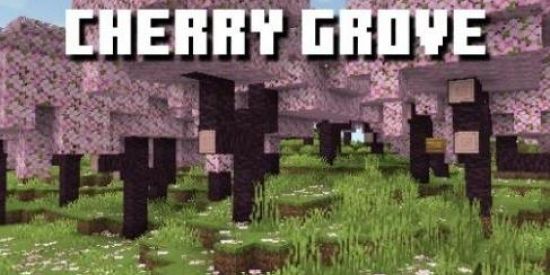 Imagem do grupo de WhatsApp Jogadores de mine 1.20