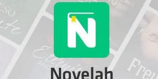 Imagem do grupo de WhatsApp Novelah