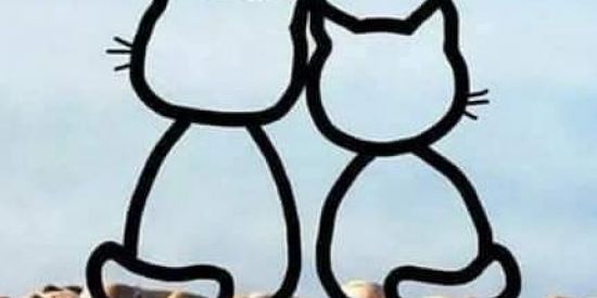 Imagem do grupo de WhatsApp Amizades sem limites