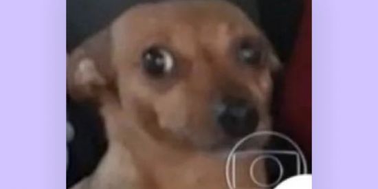 Imagem do grupo de WhatsApp Clube do livro📚