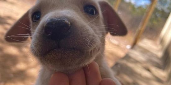 Imagem do grupo de WhatsApp Shaolinkkkkkkkkkkkkkkkk