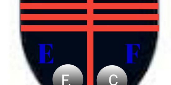 Imagem do grupo de WhatsApp GRUPO (eFOOTBALL) SALA COOP ⚽