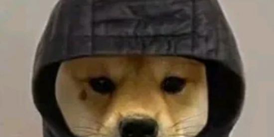 Imagem do grupo de WhatsApp ꧁ƒσƒσcαs