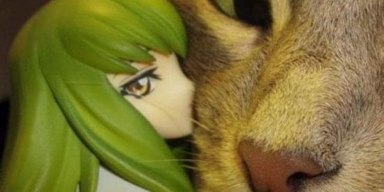 Imagem do grupo de WhatsApp ΛᄂΣΛƬӨ́ЯIӨ