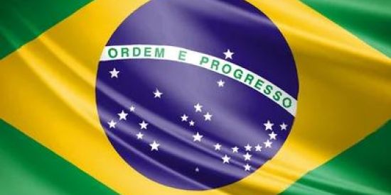 Imagem do grupo de WhatsApp Tropa do brasil