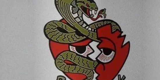 Imagem do grupo de WhatsApp Só os solteiros 💸