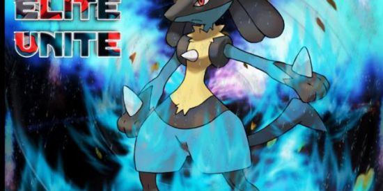 Imagem do grupo de WhatsApp ELITE UNITE