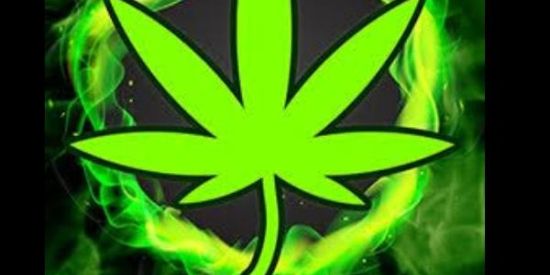 Imagem do grupo de WhatsApp MÔ BRISA!!