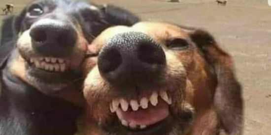 Imagem do grupo de WhatsApp Só meninos 💙