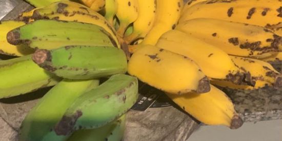 Imagem do grupo de WhatsApp Tá ruim mais tá bão 😒😂