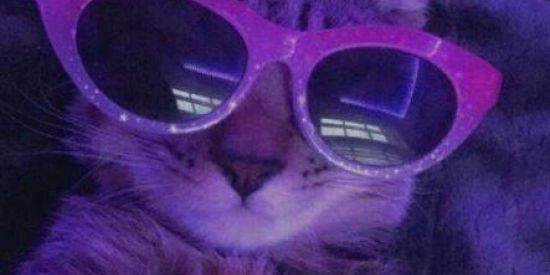 Imagem do grupo de WhatsApp Amigoss✨