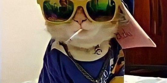 Imagem do grupo de WhatsApp 𝐒𝐢𝐠𝐚-𝐦𝐞 𝐨𝐬 𝐛𝐨𝐧𝐬