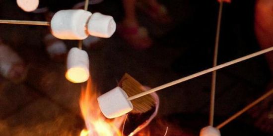 Imagem do grupo de WhatsApp Girls 🎮💕