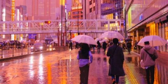 Imagem do grupo de WhatsApp só meinas