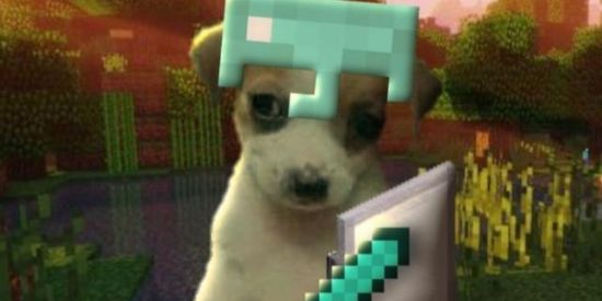 Imagem do grupo de WhatsApp !Minezinho.zzz 🫂