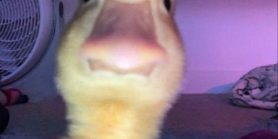 Imagem do grupo de WhatsApp ~《Web《Amizades》🤙✨✨